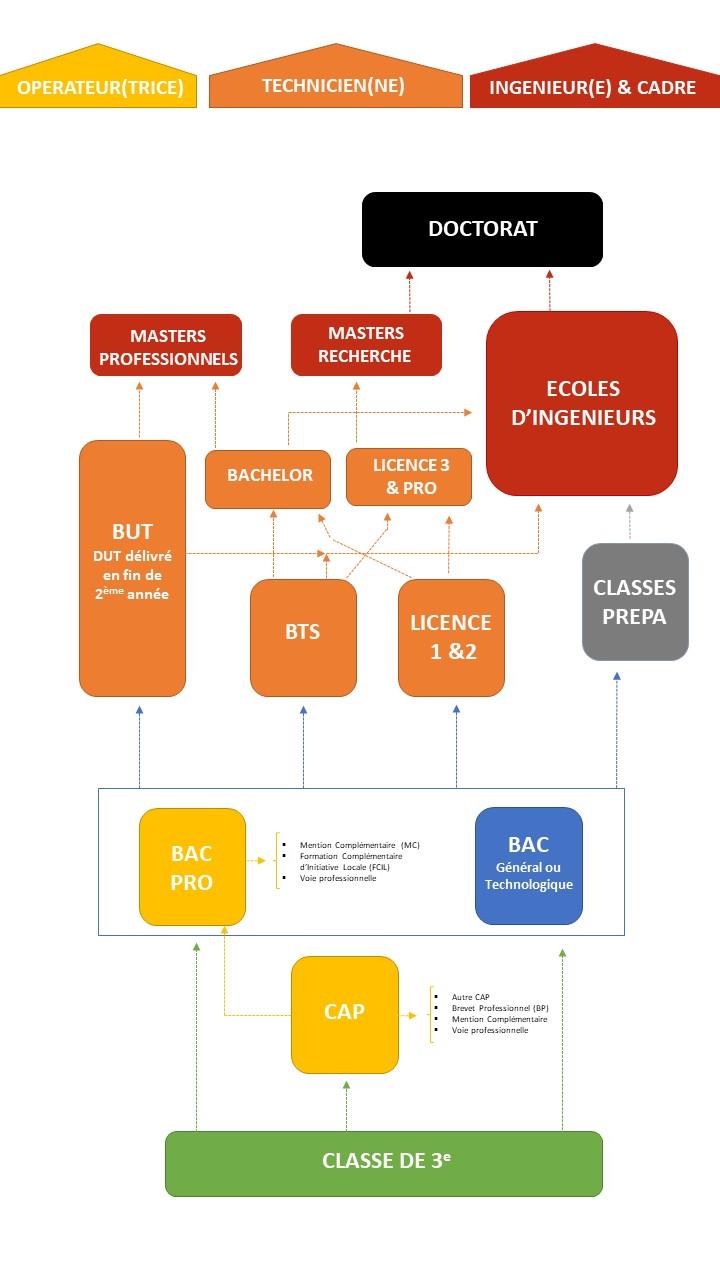 organigramme formation